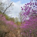 〔2025 가을〕 ㅡ 복합판 칸막이 이미지