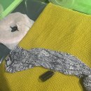 가꾸는동안 신대방우성점_전신바이오캡슐온열돔 (보라매바디관리 추천)