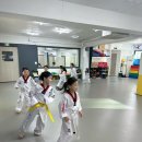 국가대표 영웅 태권도 이미지