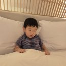 2호선 중동역 1번출구 | 부산 해운대 UH 컨티넨털 호텔 4살 아이와 숙박 후기｜조식·주차·편의시설 총정리