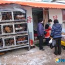 장터닭집