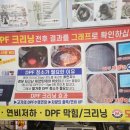 원지카클리닉 - 남구 동명로 106 | 원지카클리닉