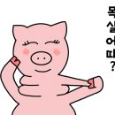 한우랑 돼지랑 정육점 이미지