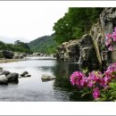 송이용소 이미지