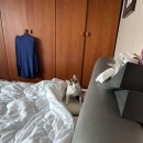 진양조명 이미지