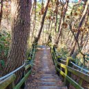 구룡천 | [지리산구룡폭포] 수능시험 제가집, 가게 신규오픈한 제가집을 위