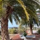 색달동-24 | 24개월 아기랑 겨울 제주 여행 day-4 마지막날 (사우스쇼어, 1100고지, 제주공항)