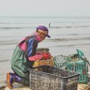 고맙다바다야