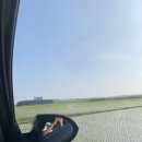 무녀가옥 이미지