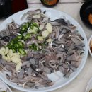 쫑낄이 Daum카페