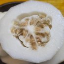 참농장 | 농라 세영농장 참외공품후기