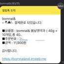 여수봄날엔