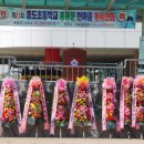 * 흥도초등학교 총 동문체육대회 * 이미지