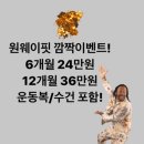 원웨이핏 이미지