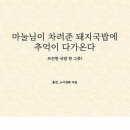 또와야돼지
