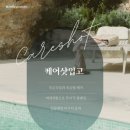 댕데이지 이미지