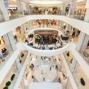 파코라반베이비 현대백화점(판교) 이미지