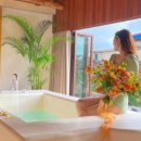 하귤스테이 이미지