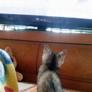 시아농장 이미지