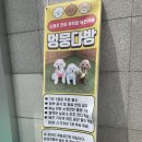 멍뭉다방