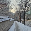 콩두 선유도점 | 26년 02월의 기록