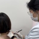 스노우의원 이미지