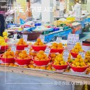 서귀포오일시장-2 | 제주도 서귀포 향토오일시장과 올레시장 2곳 나들이