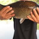 월척낚시터 이미지