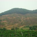 유명농장 이미지