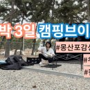 몽산포감성캠핑장 이미지