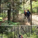 내서농협 호계지점 Daum카페