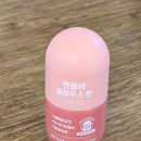 연홍 | GRN 연홍이 콜레우스 컷 후기｜포스콜린·콜레우스포스콜리 함유, 점심 후 간편 루틴