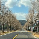 창원 마산합포구 우정한우촌:: 일요일 대기시간 45분, 외할머니 추천!