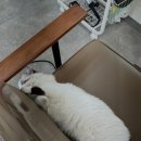 선헤어살롱 - 부천시 원미구 소향로 228 | 선헤어살롱