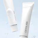 후랩스