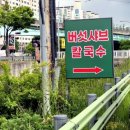 [용인 신갈동 맛집] 건강한 샤브샤브 찾으신다면?! '청년농부 버섯칼국수' 솔직 후기! 🍄