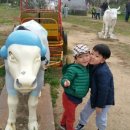 현우목장 이미지