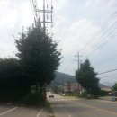 병산리 돌거북상 이미지