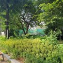 성삼공원 이미지
