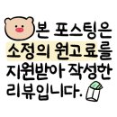 롤라홀라