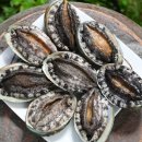 완주줌마뜨래제과제빵생산자협동조합 | 완도 전복 선물세트, 1kg 6-7미 왕특대 사이즈! 완도전복생산자협동조합에서 만난 명품 활전복 후기