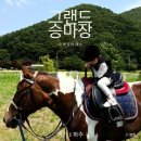 서울 근교 파주 5살 어린이 유아 승마 레슨 후기