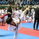 한국체대 태권도 잠실 체육관 이미지