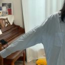 세일약품 | 자라 앱 세일 대실패 이거 맞나요? 매장이랑 다른 핏 후기