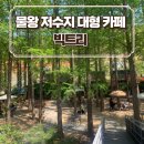 시흥 물왕저수지 대형카페 &#39;빅트리&#39; 야외정원 추천 - 내돈내산/주차/애견동반/솔직후기