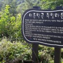 쪽빛나라 이미지