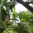 행복애농원 이미지