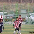 충주교현초 이미지