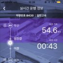 비고리조트 1 이미지