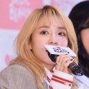 박**-14 이미지